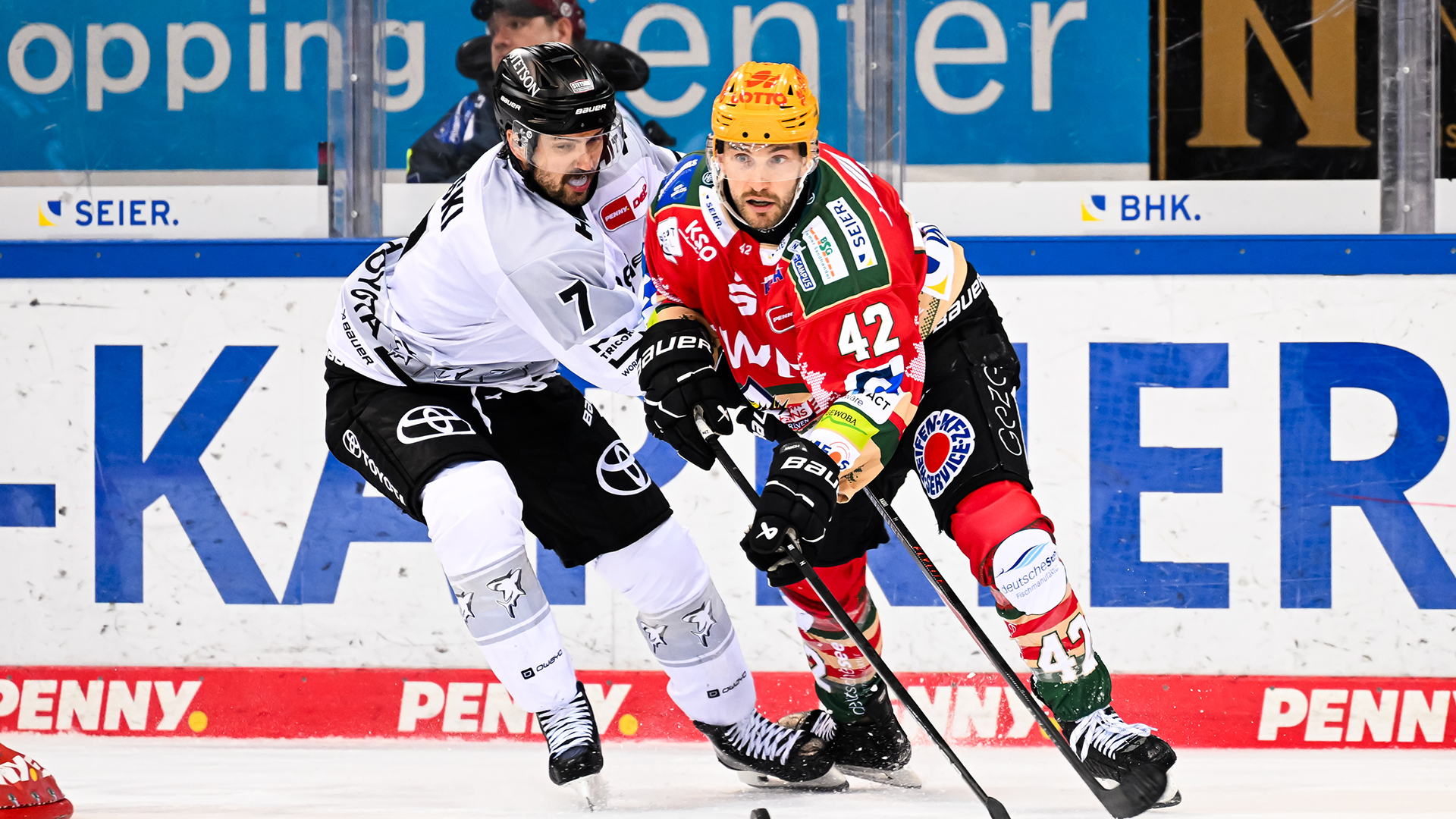 Pinguins Bremerhaven gg. Kölner Haie